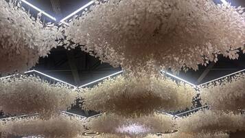 Detall de l'interior