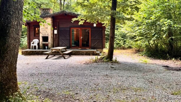 Une cabane rustique avec des fondations en pierre, une porte en bois et une table de pique-nique, située dans un cadre forestier.