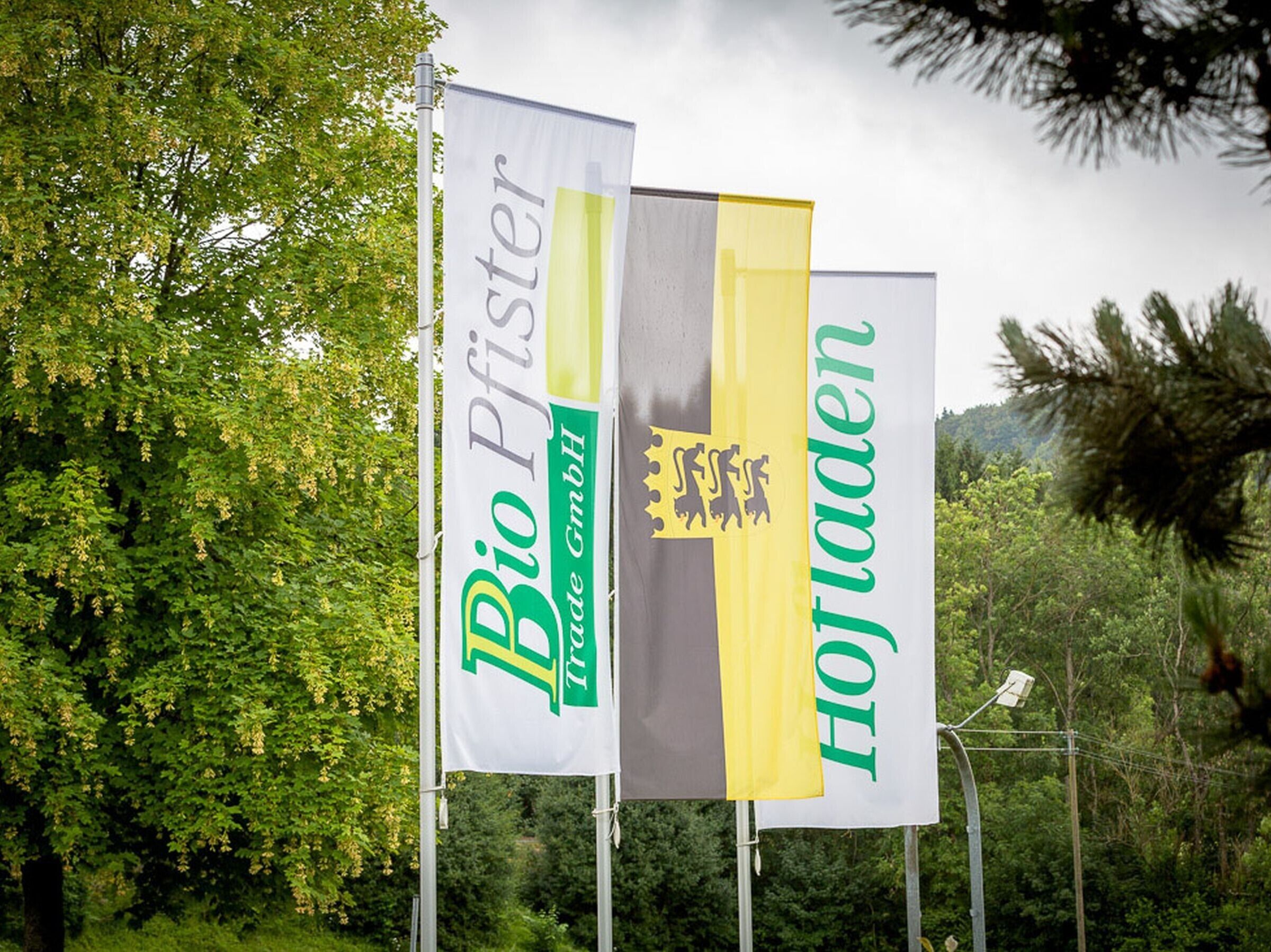 Three banners with text and logos, set against a backdrop of trees and a cloudy sky.