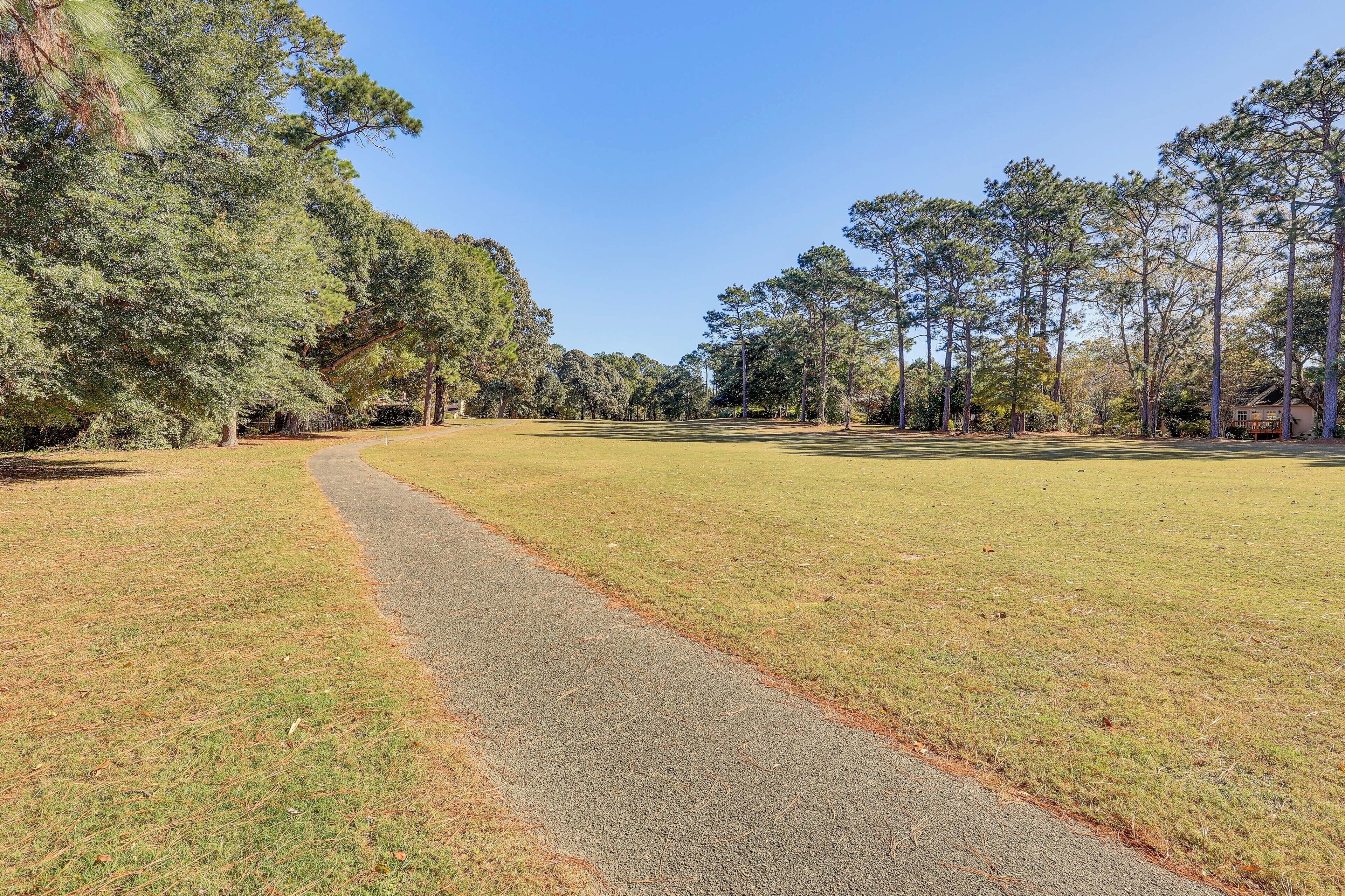 A paved path in a grassy area with trees on both sides.