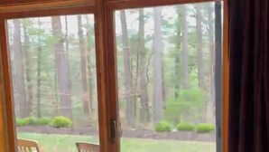 Une pièce dotée d’une porte-fenêtre coulissante qui donne sur un espace extérieur avec une pelouse et des arbres. On peut y apercevoir deux chaises en bois et une petite table.