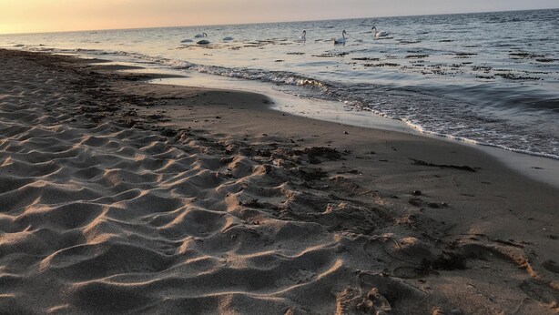 A beach with sand and water. - Reethaus Arkonablick - Villa by the sea with fenced garden. Dogs welcome. (Glowe)