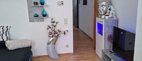 Flat-screen TV