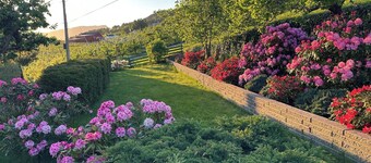 Room-casa Hauge - Fjord View