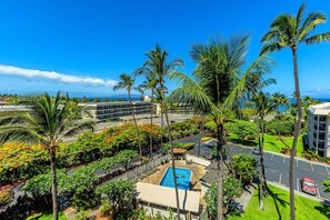 Un hôtel doté d’une piscine entourée de palmiers et offrant une vue sur l’océan.