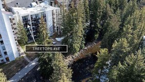 A modern building with a glass facade, surrounded by dense evergreen trees. - Treetops 4e 3 Bedroom Condo (Avon)
