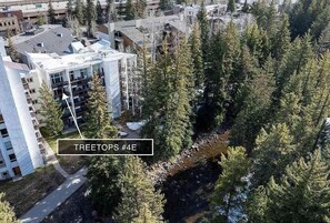 Condo, 3 Bedrooms | Exterior - Treetops 4e 3 Bedroom Condo (Avon)