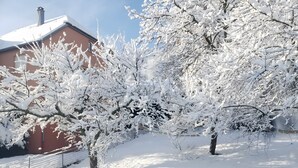 Un paysage enneigé avec des arbres et un bâtiment.