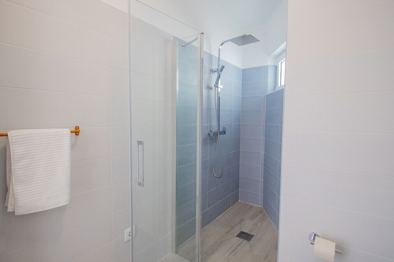 Une salle de bain moderne avec une douche à parois de verre, des carreaux blancs et bleus, un porte-serviettes et un support à papier toilette visible.