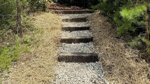 A gravel path leading through a forested area with steps.