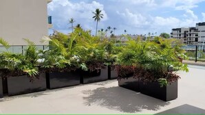 A rooftop terrace with potted plants and a view of modern buildings. - Refuge By Paty - Malia Beach Resort for families (Ipojuca)