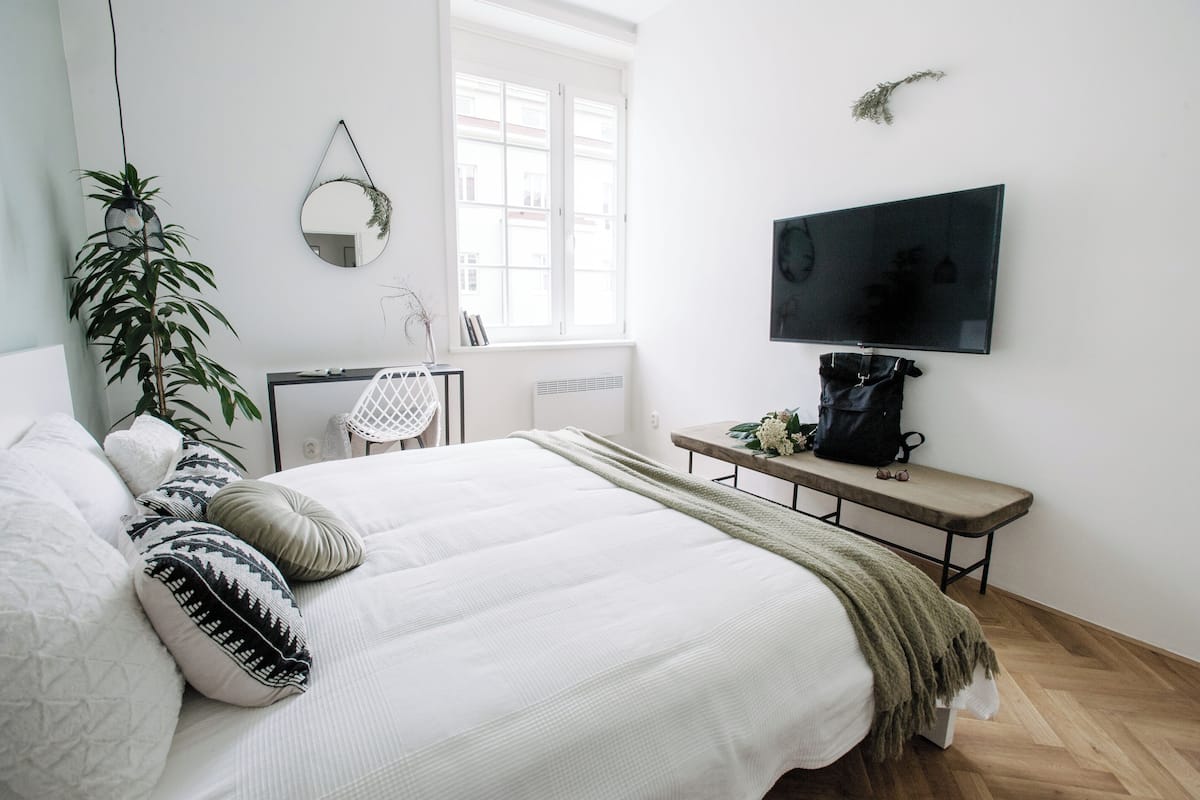 Un dormitorio con una cama, televisión, un banco, una planta y una ventana.