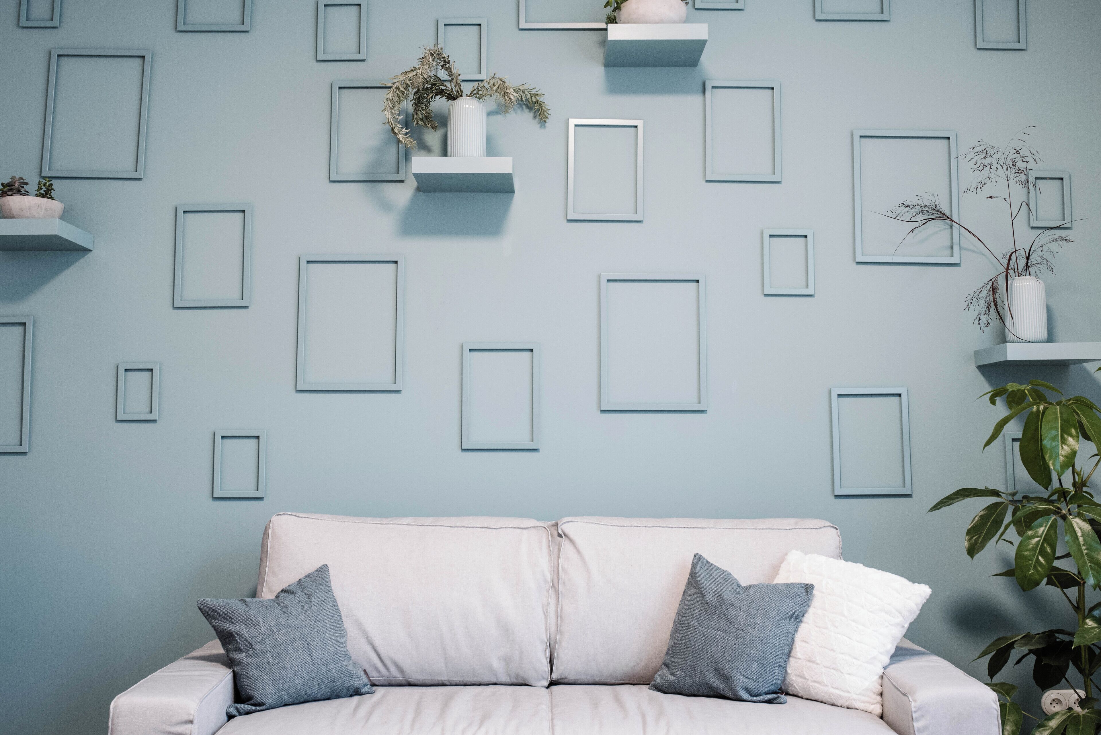 A room with a light blue wall, a white sofa with two pillows, and several white floating shelves with plants.