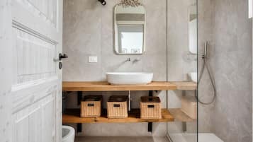 Shower, hair dryer, bidet, towels