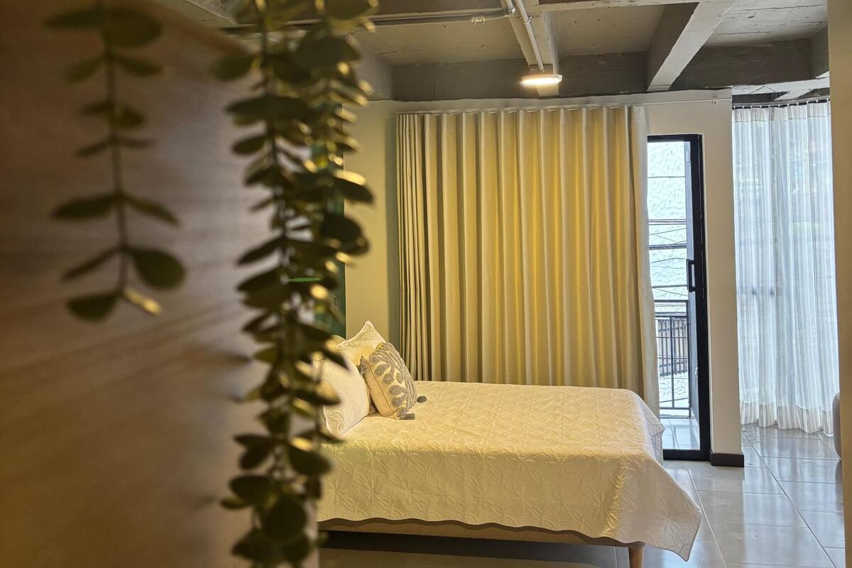 A bedroom with a bed, curtains, a plant, and a view of the outside.