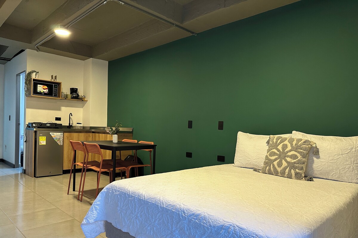 Ropa de cama de alta calidad, cubrecamas, minibar y wifi gratis