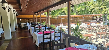Free daily buffet breakfast. Hotel Ilinca