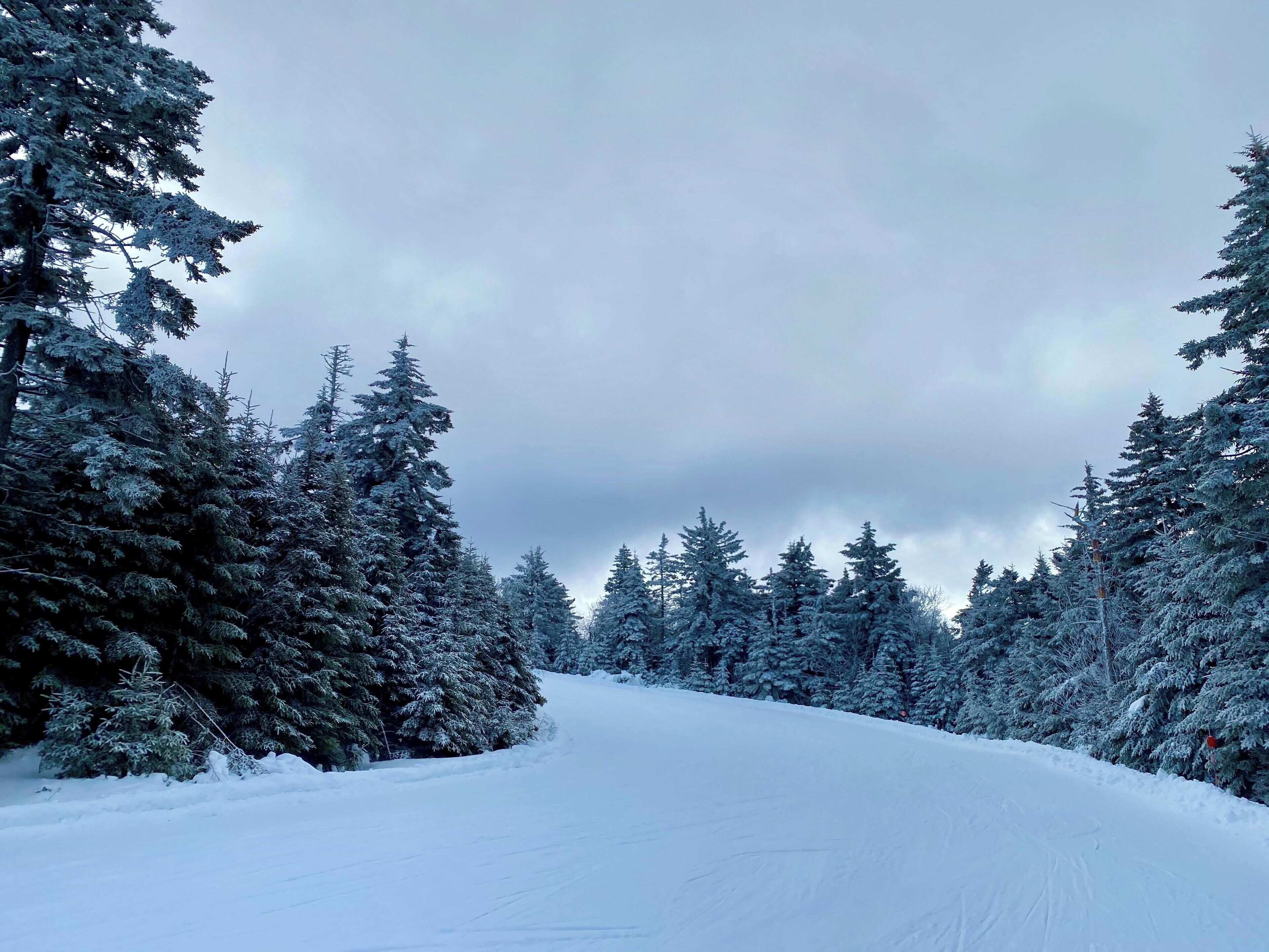 A snow-covered forest path with dense evergreen trees on both sides.