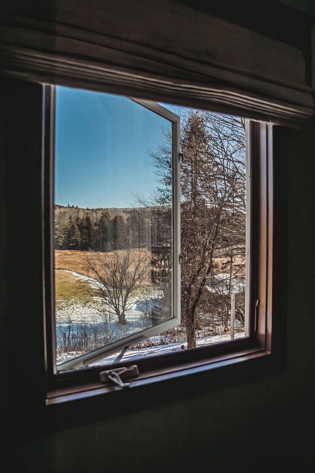 A window with a view of a snowy landscape, including trees and a clear sky.
