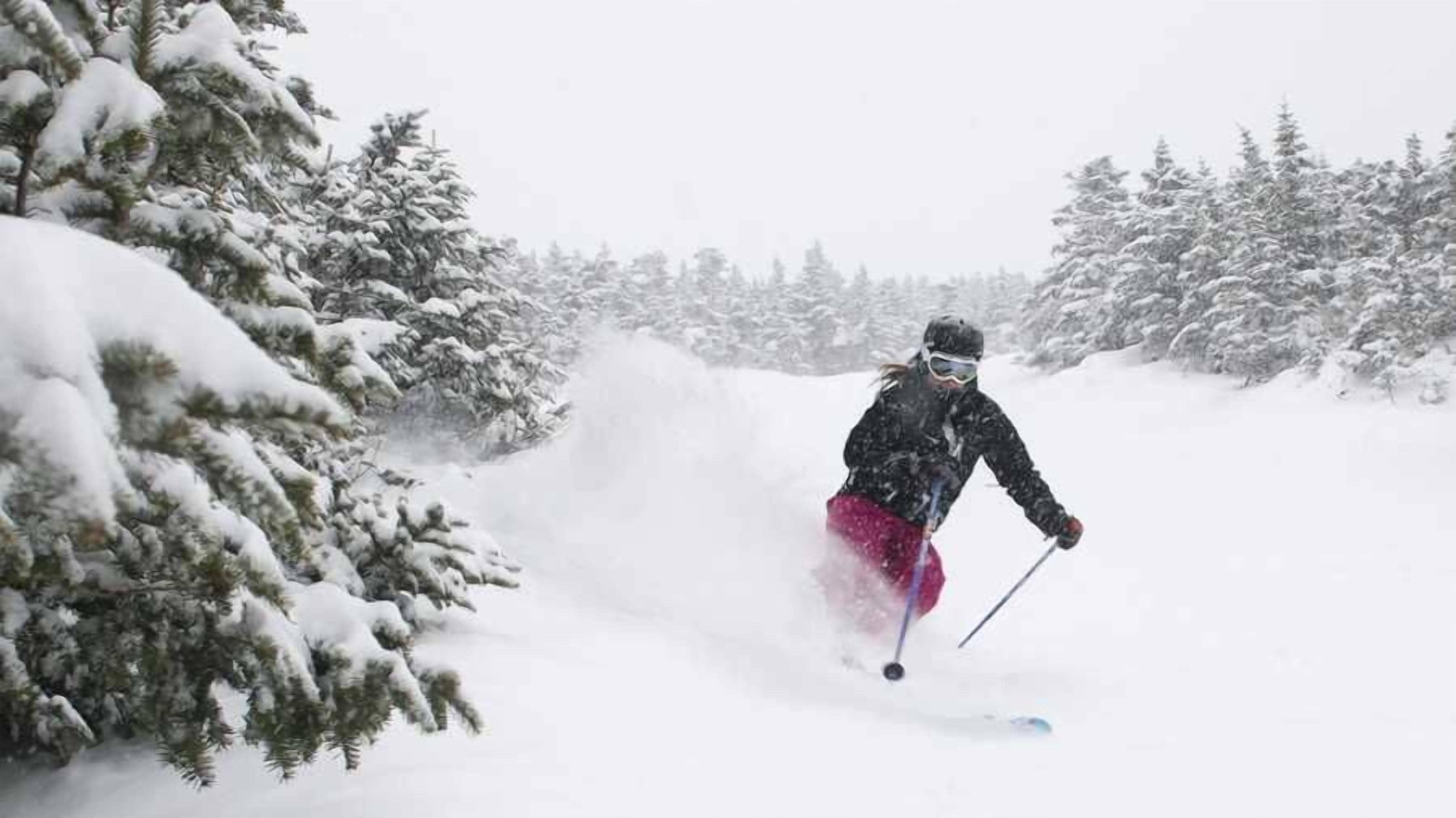 A person skiing down a snowy slope with trees on either side.