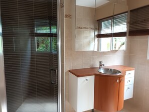 Shower, hair dryer, towels