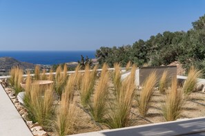 Property grounds - Villa Skali, with an infinity pool and Sea View (5CX9+F75 Mariou, Greece)