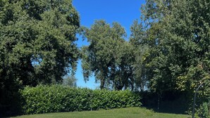 Une piscine rectangulaire à l’eau d’un bleu cristallin, entourée d’une terrasse dallée et d’une végétation luxuriante.