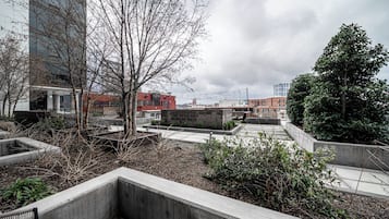 Studio, Non Smoking, Patio | Property grounds