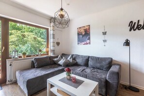 Fernseher, Stereoanlage