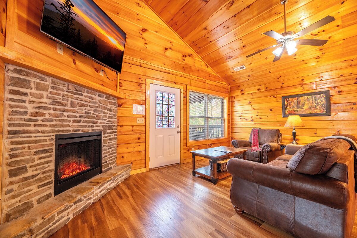 Télévision, cheminée, jeux vidéo