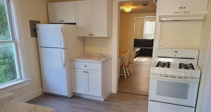 40 West - 3 bdrm apt in City Center Oneonta, walkable to Main St