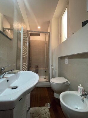 Shower, hair dryer, bidet, towels