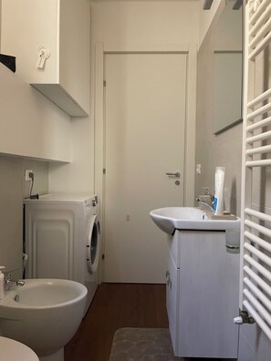 Shower, hair dryer, bidet, towels