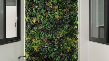 43-inch flat-screen TV with digital channels, Netflix