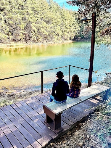 
Pine Oaks Cabin includes Guest Pole Barn. Modern comfort meets county living.