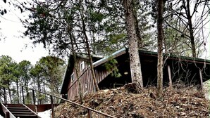 Puinen portaikko johtaa ylös mäkeä, ja siinä on metallinen kaide. Portaikon ympärillä on puita ja maassa lepattavia lehtiä.