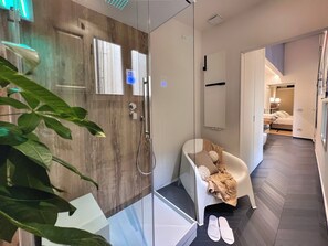 Shower, free toiletries, hair dryer, bidet