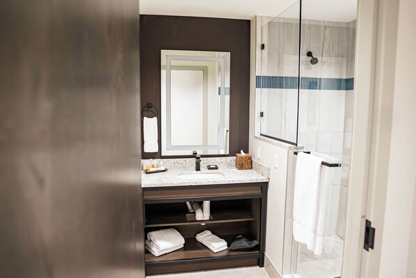 Chambre double, douche accessible en fauteuil roulant | Salle de bain | Douche, séchoir à cheveux, serviettes fournies, savon
