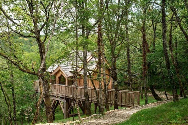 Une cabane en bois perchée dans un arbre, dotée d’une terrasse et entourée d’une forêt dense.