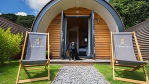 Estructura de madera con techo curvo, un perro sentado en la entrada y dos sillones de descanso con la marca 'Polygold Inn'.