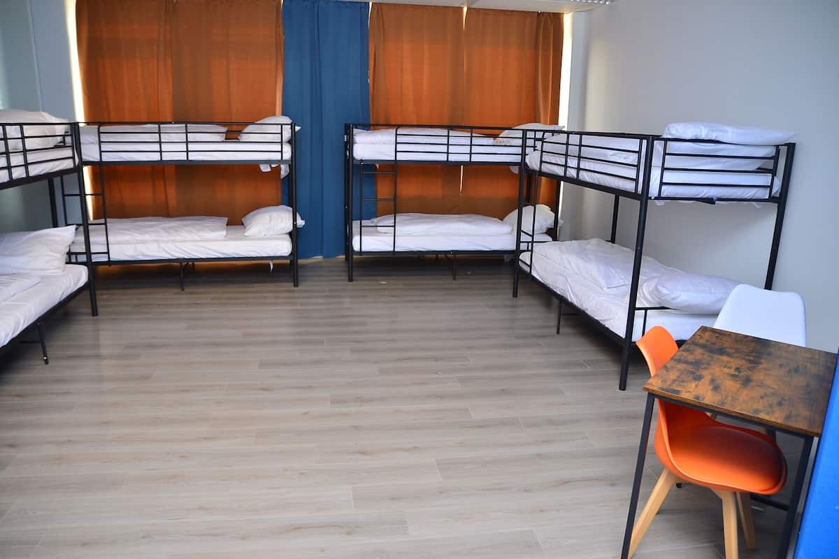 Fælles sovesal | Skrivebord, arbejdsområde til bærbare computere, mørklægningsgardiner