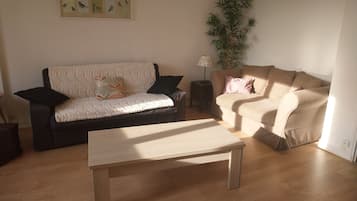 Fernseher, BĂŒcher