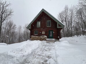 Una cabaña de troncos con techo verde, rodeada de nieve y árboles.