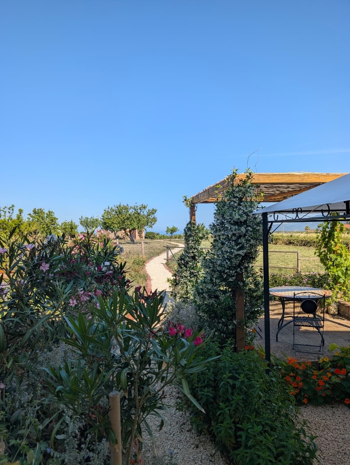 Ein Garten mit einer Pergola, einem Tisch mit Stühlen und einem Kiesweg.