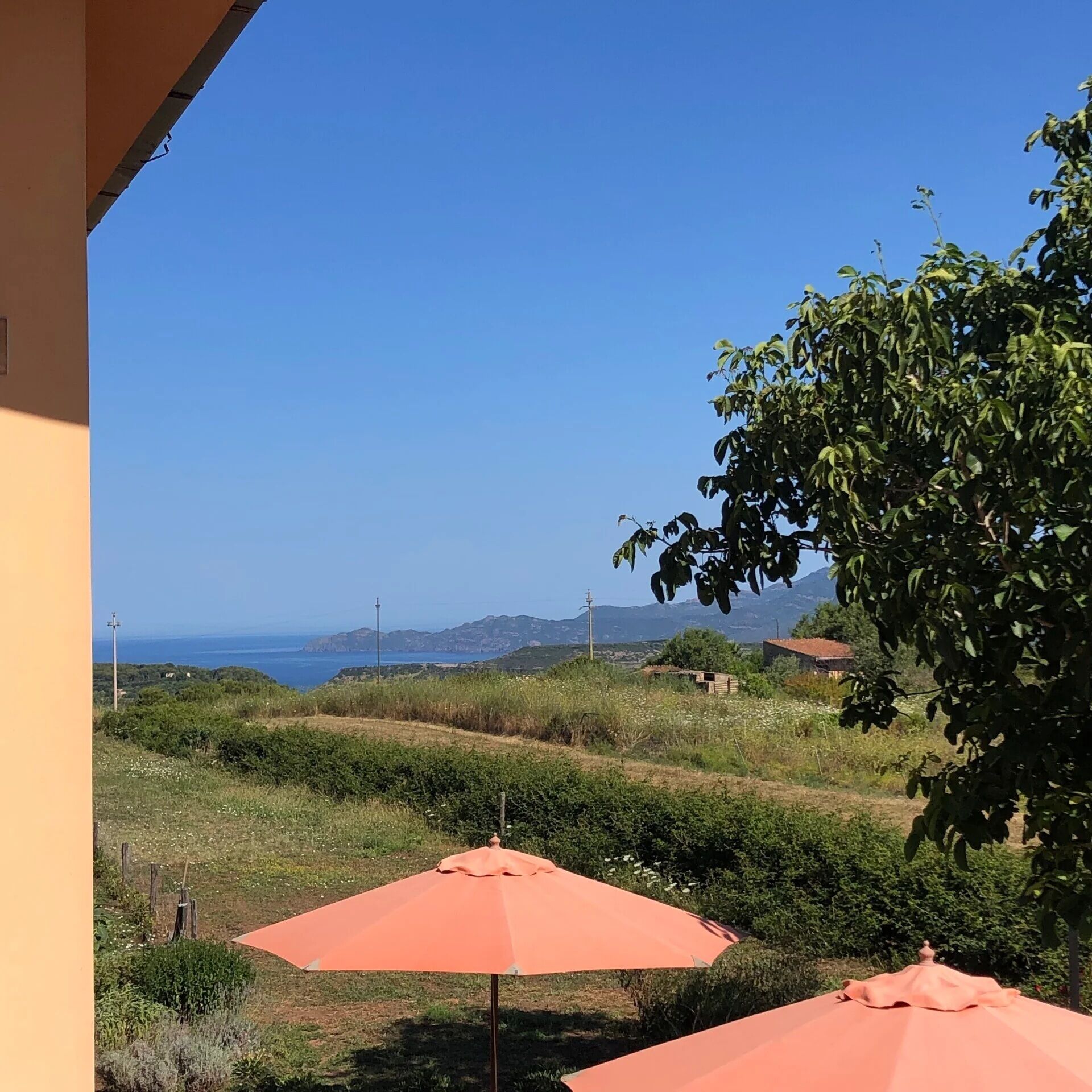 A view of a coastal landscape with a clear sky, featuring two orange umbrellas and a building with a sloped roof.