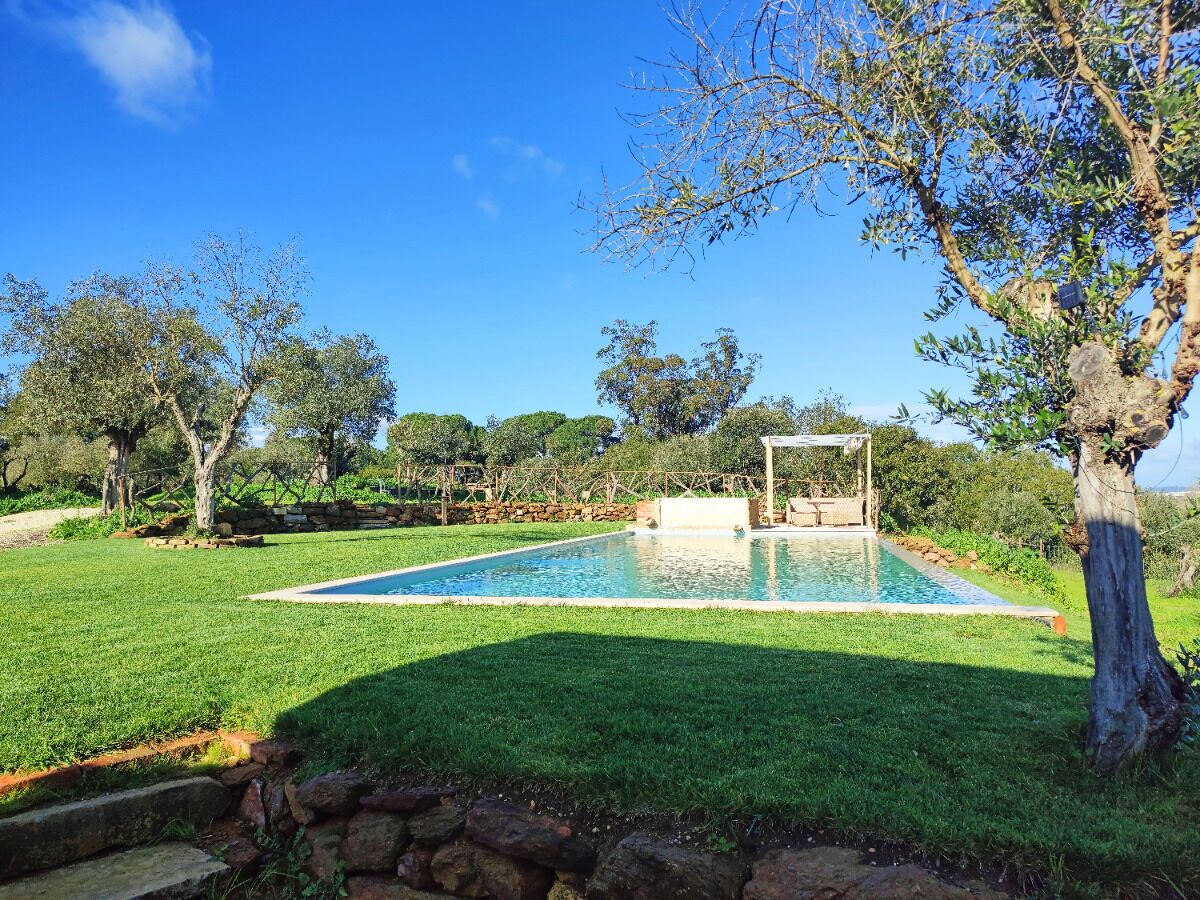 A rectangular swimming pool with a pergola structure in the center, surrounded by a well-maintained lawn and trees.