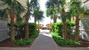 A pathway flanked by palm trees and a white fence leading to a building entrance. - 14th floor 4BR/3BA Ocean Front Condo: Stunning Views & Upgraded Ocean Bay Club (North Myrtle Beach)
