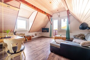 Fernseher, Stereoanlage