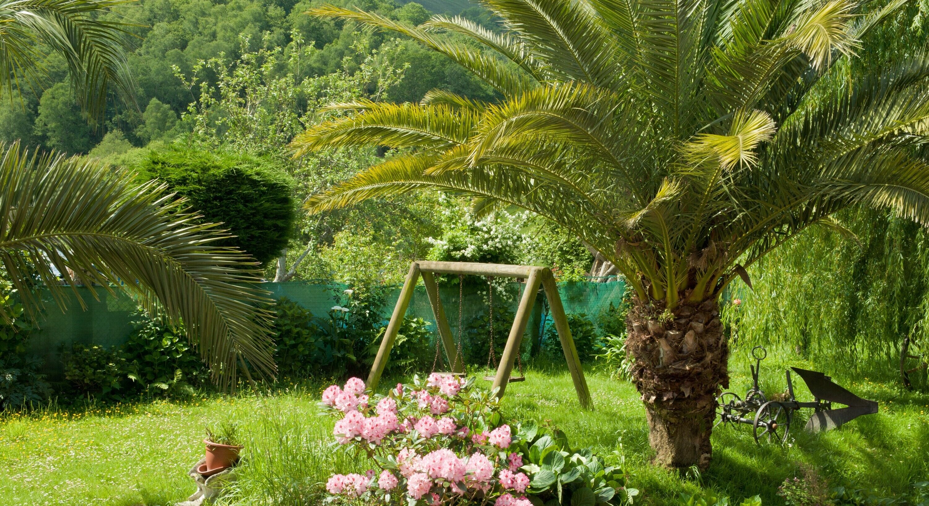 Terrein van de accommodatie