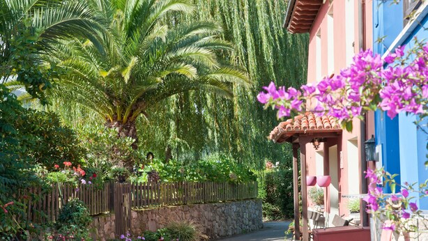 A narrow pathway flanked by lush greenery, a wooden fence, and a building with a blue facade. - Rural House 'Casa Remis' in Piloña – Sleeps 12, Private Bathrooms, Fireplace (Piloña)